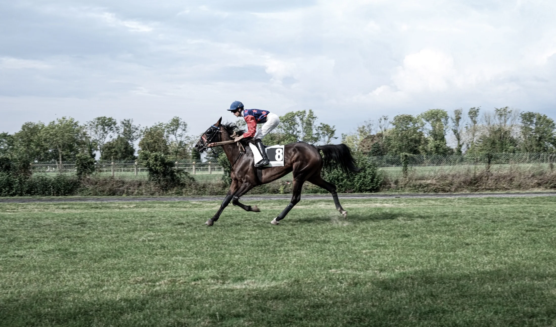 Chevaux en mouvement